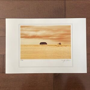 Nature and animal photos